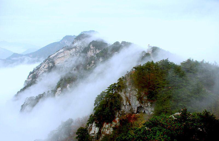 華東區(qū)最后一片原始森林