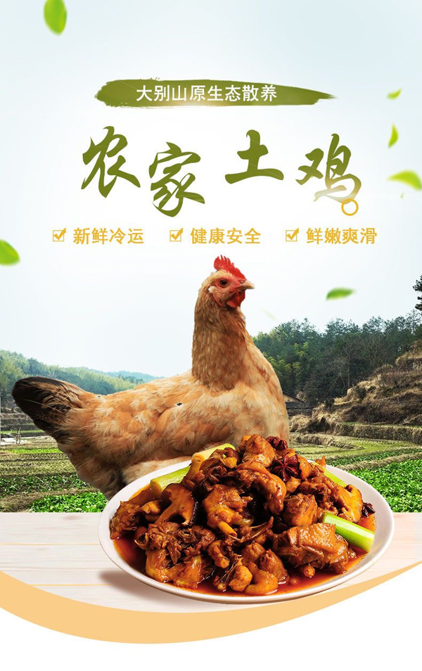 金寨土雞
